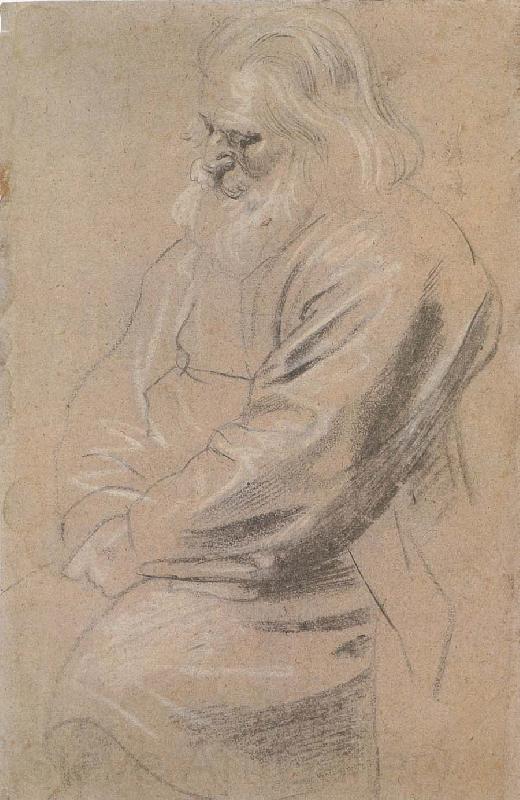 Peter Paul Rubens Sitting  old man Spain oil painting art